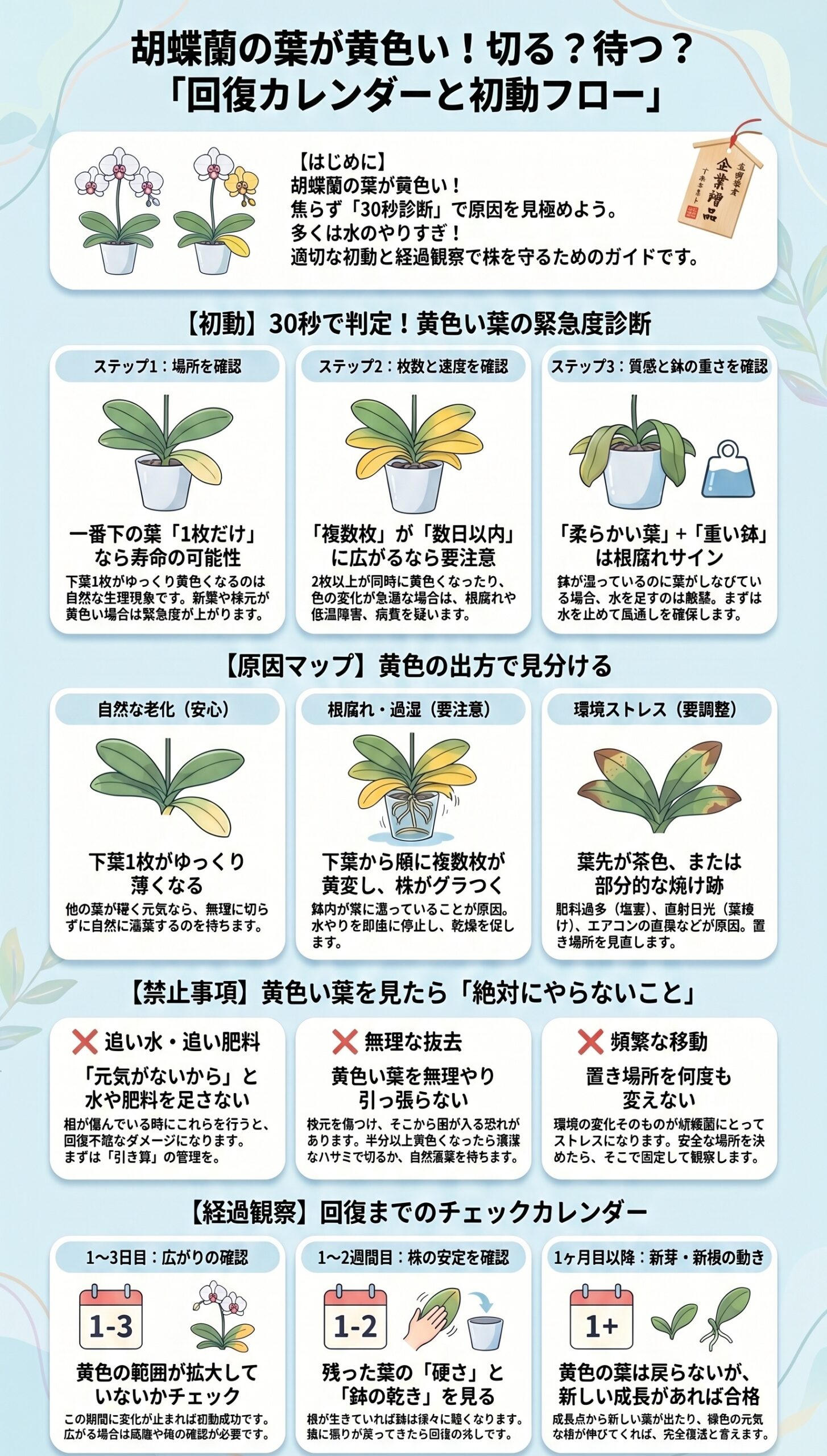 迷ったらコレ！葉が黄色いときの「最短結論と4大原因」｜胡蝶蘭の葉が黄色い時の原因判断と初動対応を視覚的に整理したインフォグラフィック