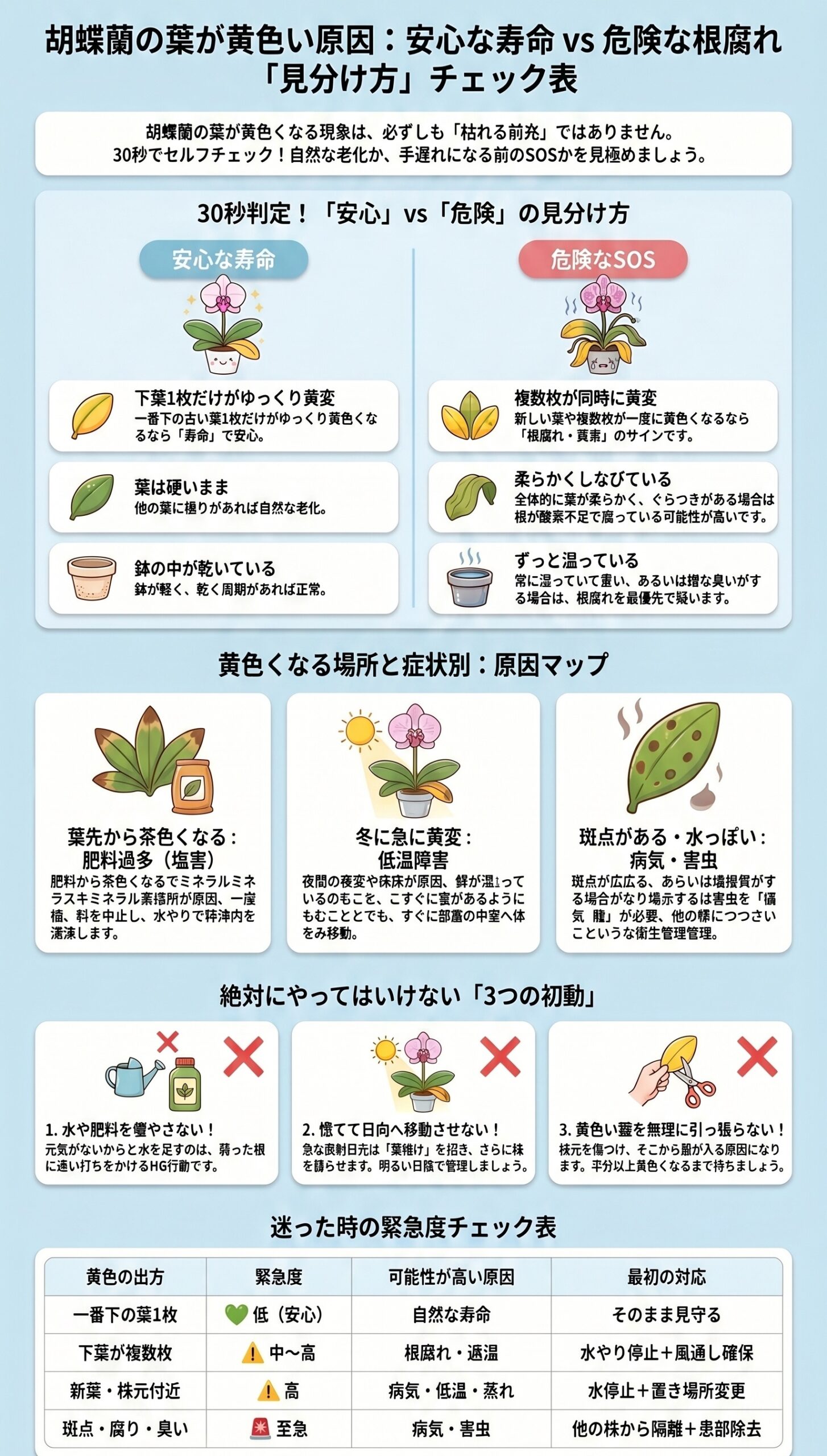 30秒で緊急度判定！「場所・枚数・速さ」の見極め表｜胡蝶蘭の葉が黄色い時の原因判断と初動対応を視覚的に整理したインフォグラフィック