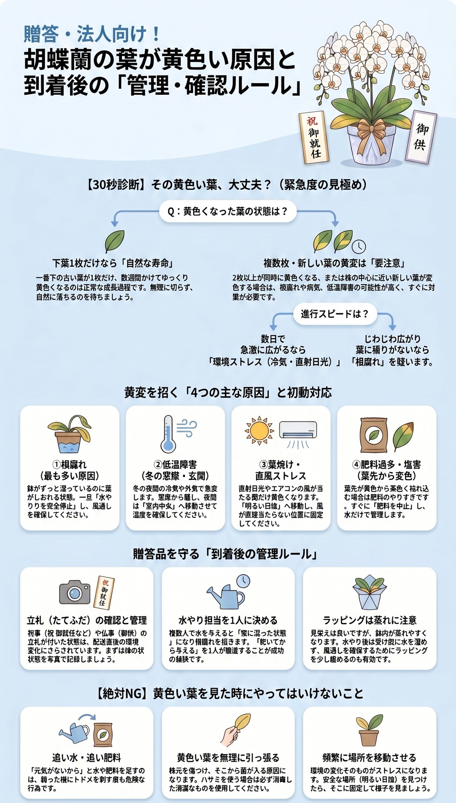 どこから黄色い？「葉の場所・出方別」原因マップ｜胡蝶蘭の葉が黄色い時の原因判断と初動対応を視覚的に整理したインフォグラフィック