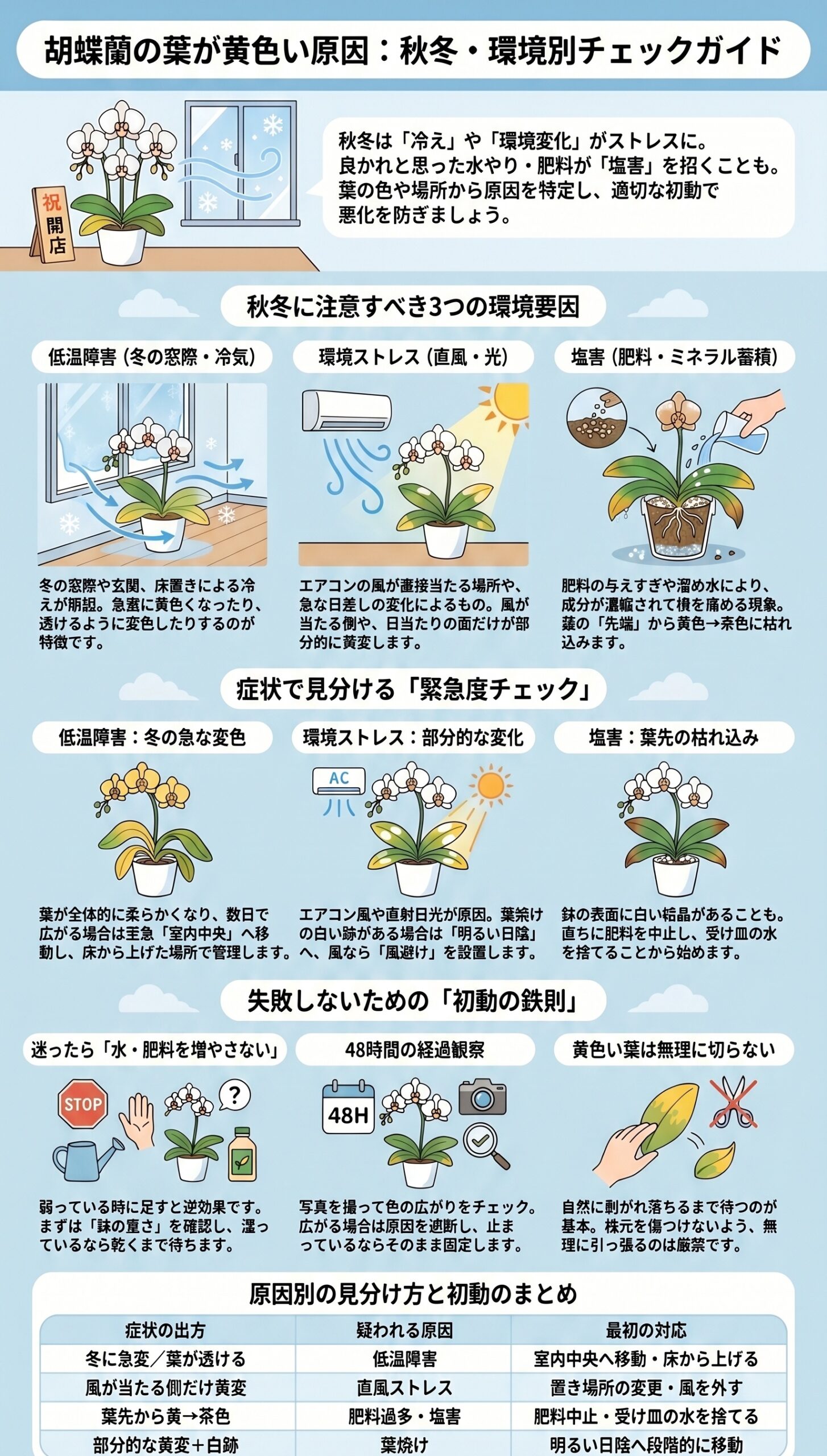 秋冬・環境別！黄色くなる「ストレス・塩害・冷え」｜胡蝶蘭の葉が黄色い時の原因判断と初動対応を視覚的に整理したインフォグラフィック