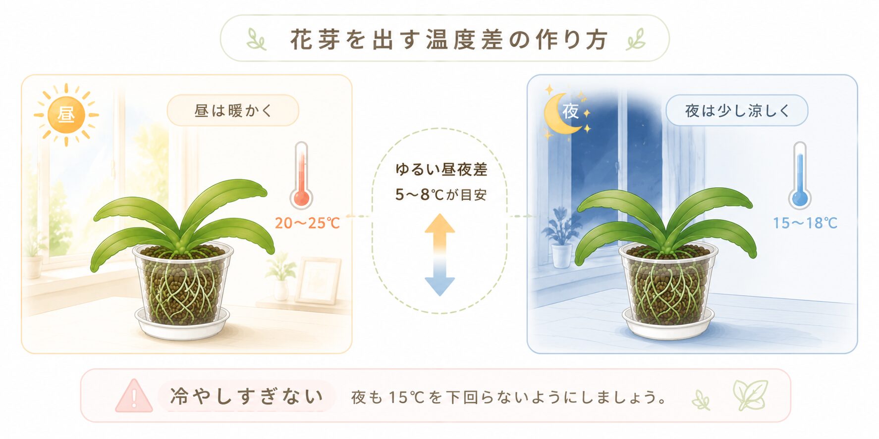 胡蝶蘭の花芽を促す安全な昼夜の温度差の作り方図解