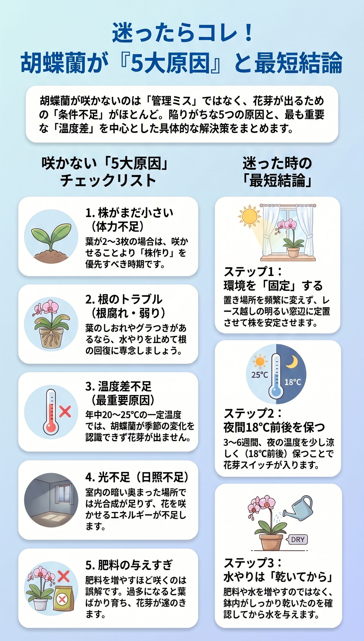 迷ったらコレ!胡蝶蘭が咲かない「5大原因」と最短結論|胡蝶蘭の花芽が出ない・咲かない原因と対策を視覚的に整理したインフォグラフィック