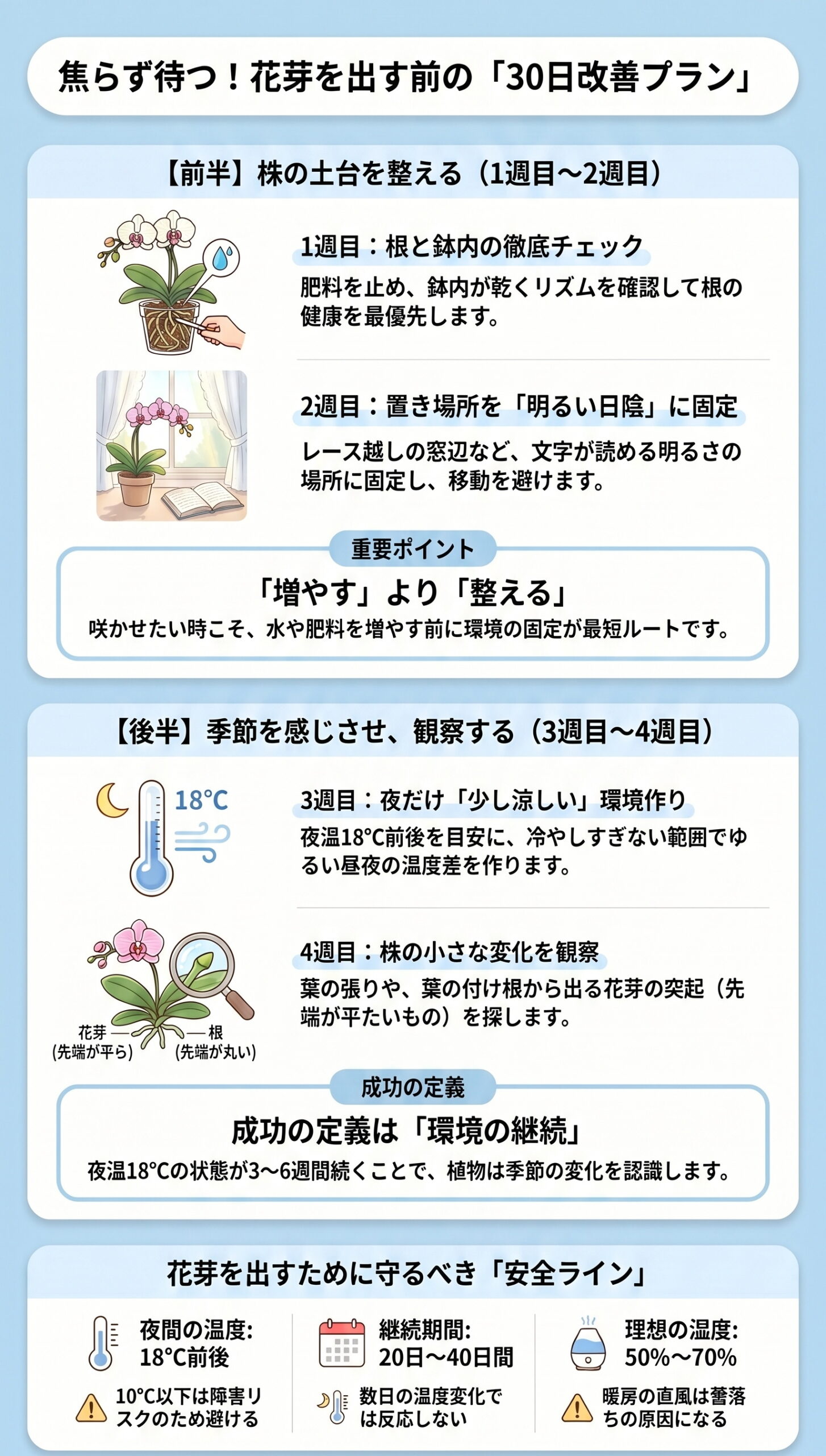 焦らず待つ!花芽を出す前の「30日改善プラン」|胡蝶蘭の花芽が出ない・咲かない原因と対策を視覚的に整理したインフォグラフィック