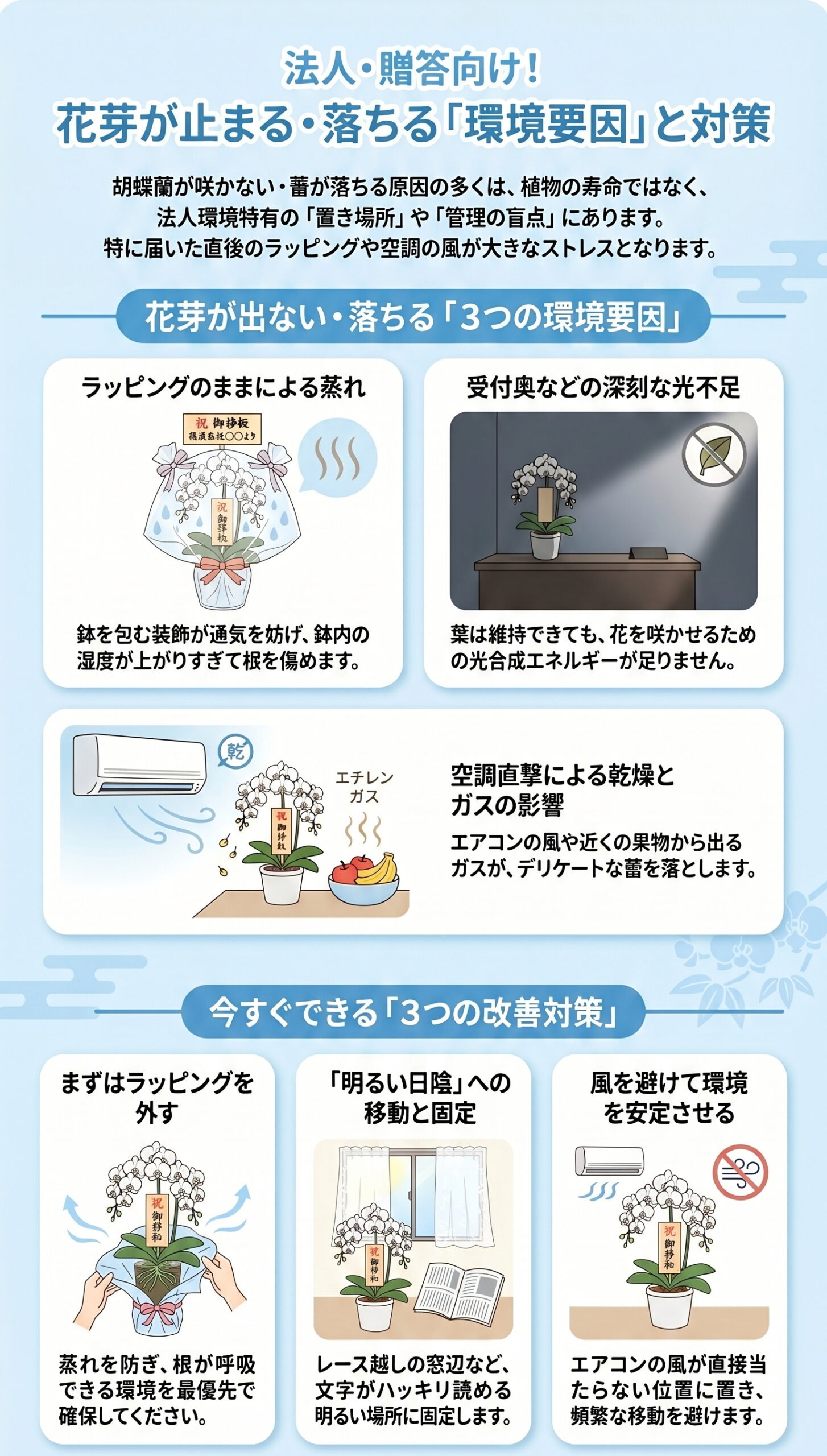 法人・贈答向け!花芽が止まる・落ちる「環境要因」と対策|胡蝶蘭の花芽が出ない・咲かない原因と対策を視覚的に整理したインフォグラフィック