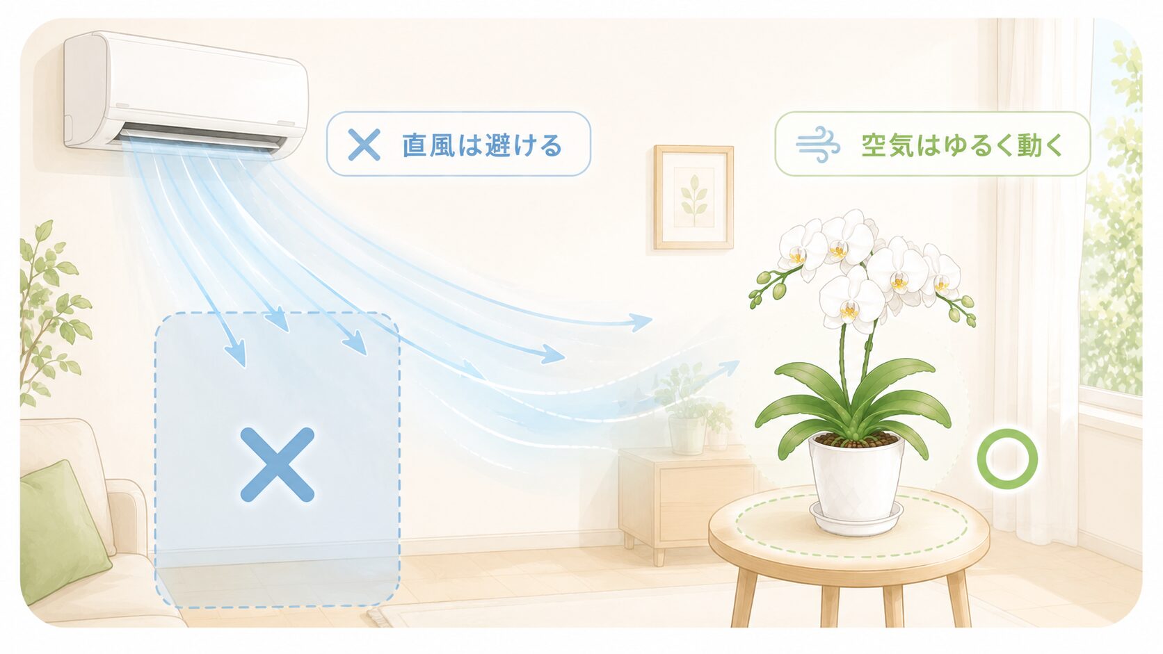 胡蝶蘭をエアコンの直風から外し空気をゆるく動かす置き方の図解