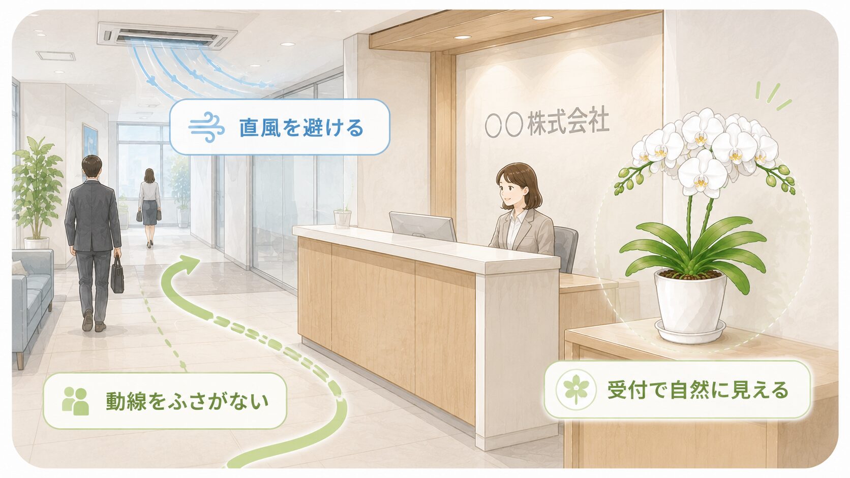 法人受付で胡蝶蘭を動線をふさがず直風を避けて飾る置き場所イラスト