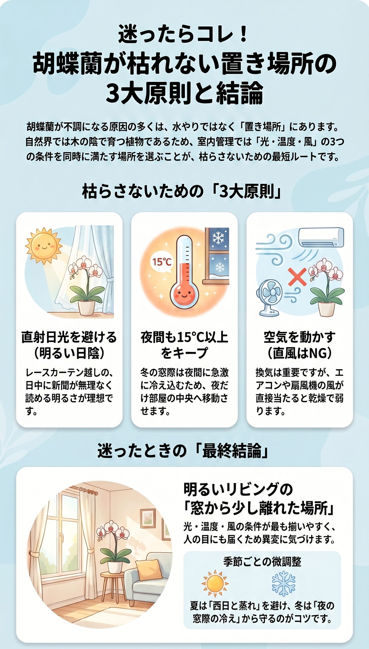 迷ったらコレ!胡蝶蘭が枯れない「置き場所の3大原則」と結論|胡蝶蘭の置き場所・温度・風・季節ごとの管理判断を視覚的に整理したインフォグラフィック