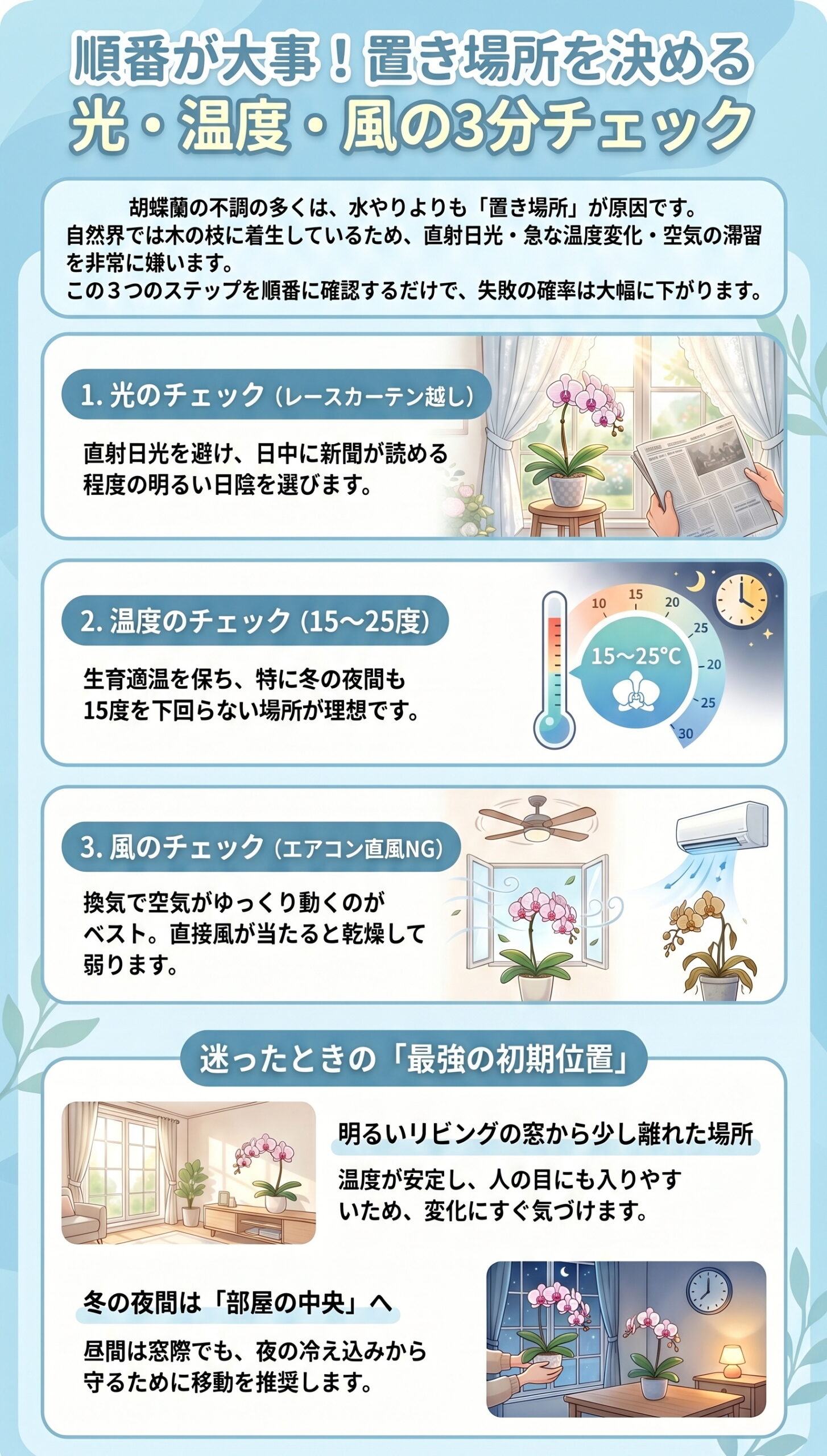順番が大事!置き場所を決める「光・温度・風」の3分チェック|胡蝶蘭の置き場所・温度・風・季節ごとの管理判断を視覚的に整理したインフォグラフィック