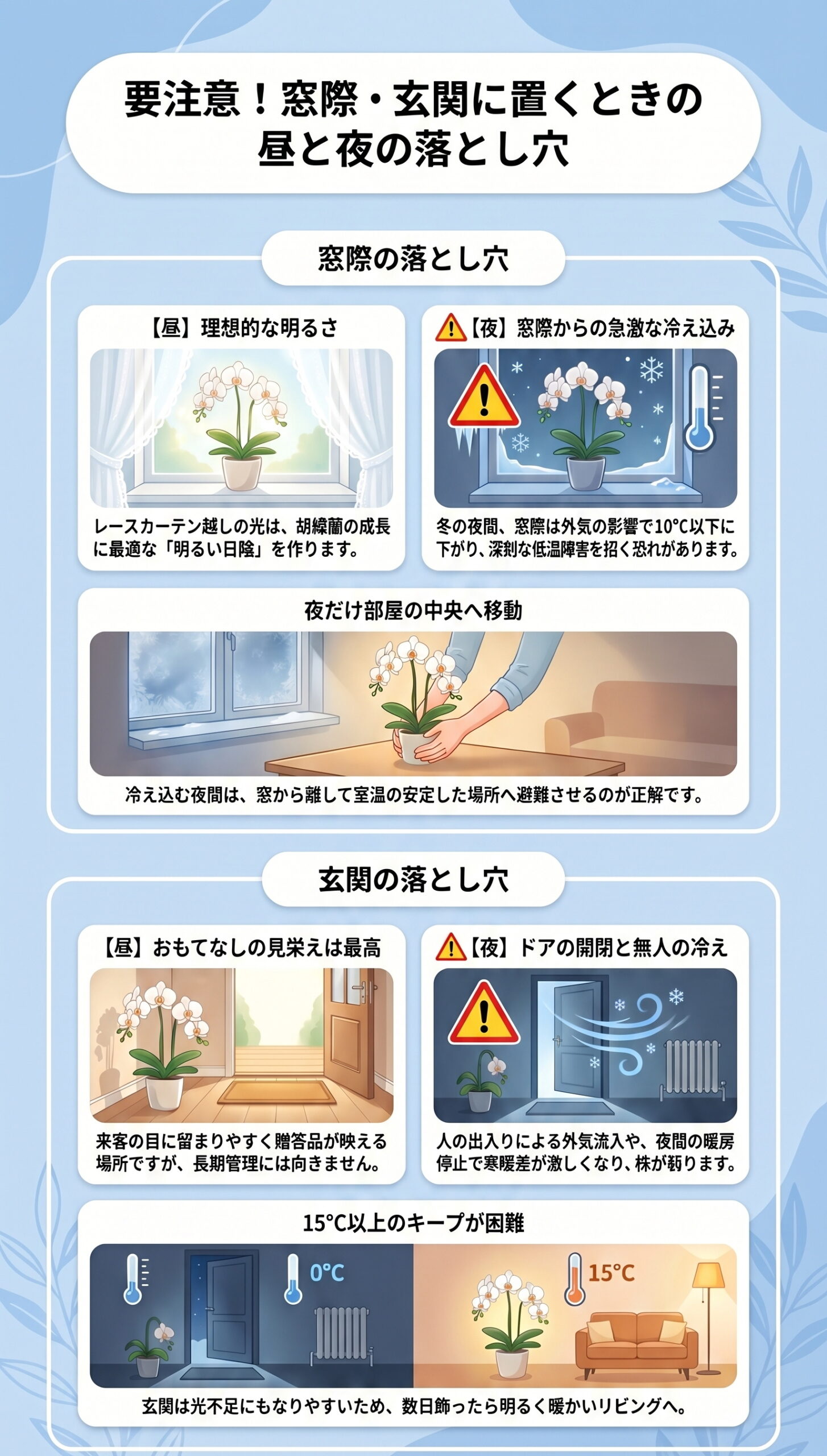 要注意!窓際・玄関に置くときの「昼と夜の落とし穴」|胡蝶蘭の置き場所・温度・風・季節ごとの管理判断を視覚的に整理したインフォグラフィック