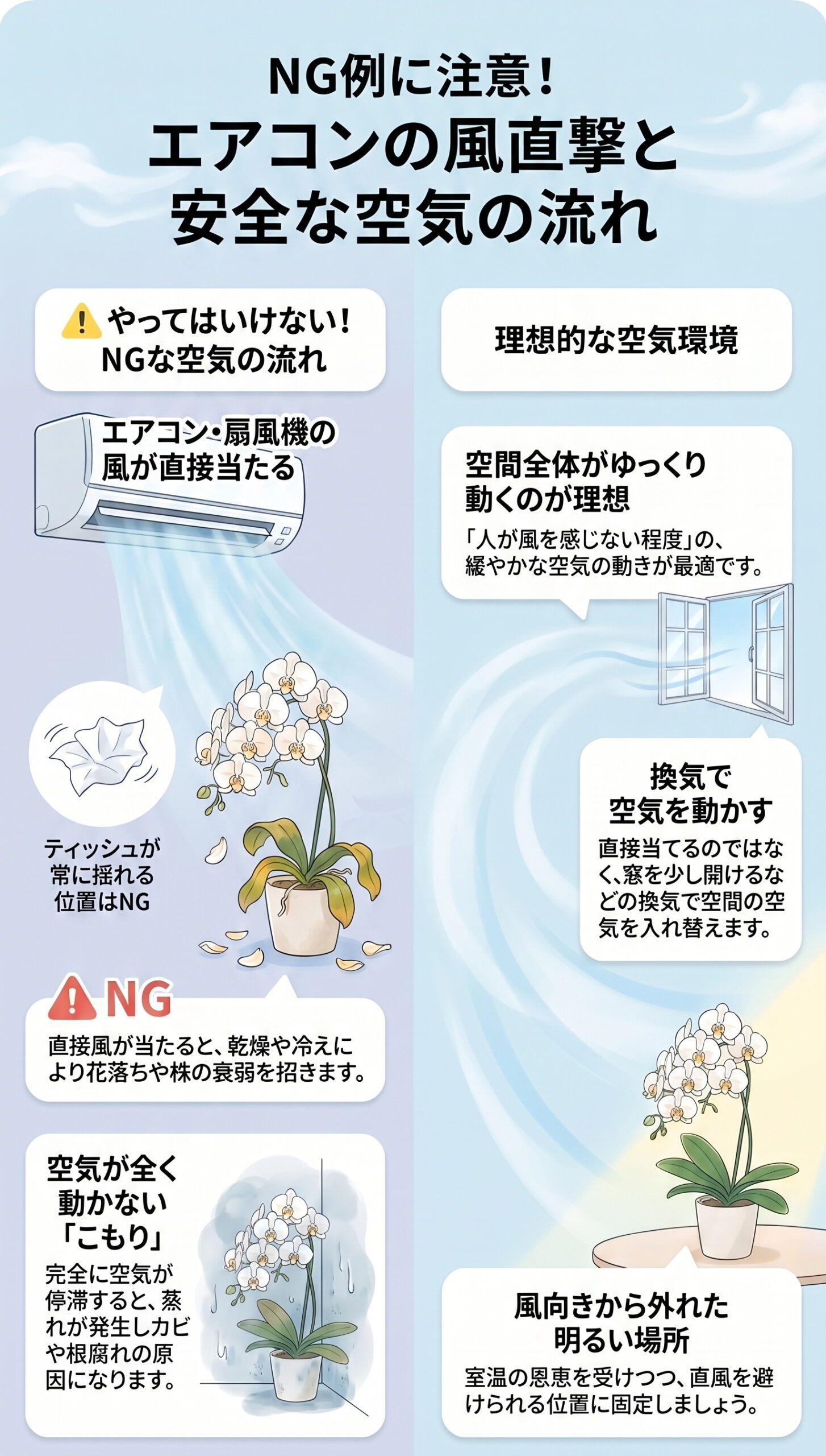 NG例に注意!エアコンの風直撃と「安全な空気の流れ」|胡蝶蘭の置き場所・温度・風・季節ごとの管理判断を視覚的に整理したインフォグラフィック