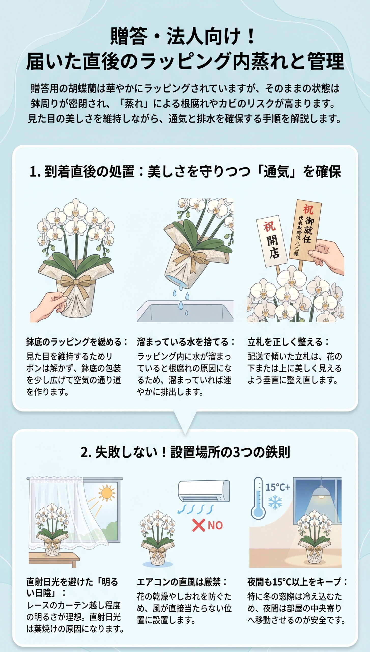 贈答・法人向け!届いた直後の「ラッピング内蒸れ」と管理|胡蝶蘭の置き場所・温度・風・季節ごとの管理判断を視覚的に整理したインフォグラフィック