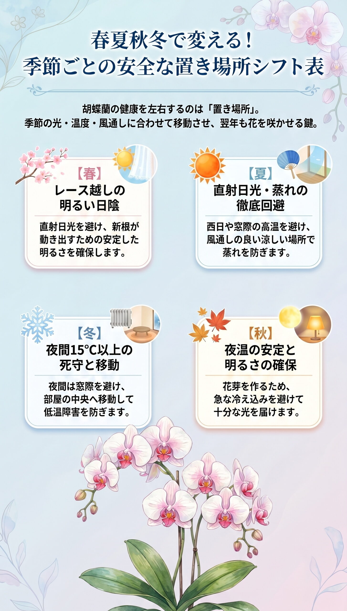春夏秋冬で変える!季節ごとの「安全な置き場所」シフト表|胡蝶蘭の置き場所・温度・風・季節ごとの管理判断を視覚的に整理したインフォグラフィック