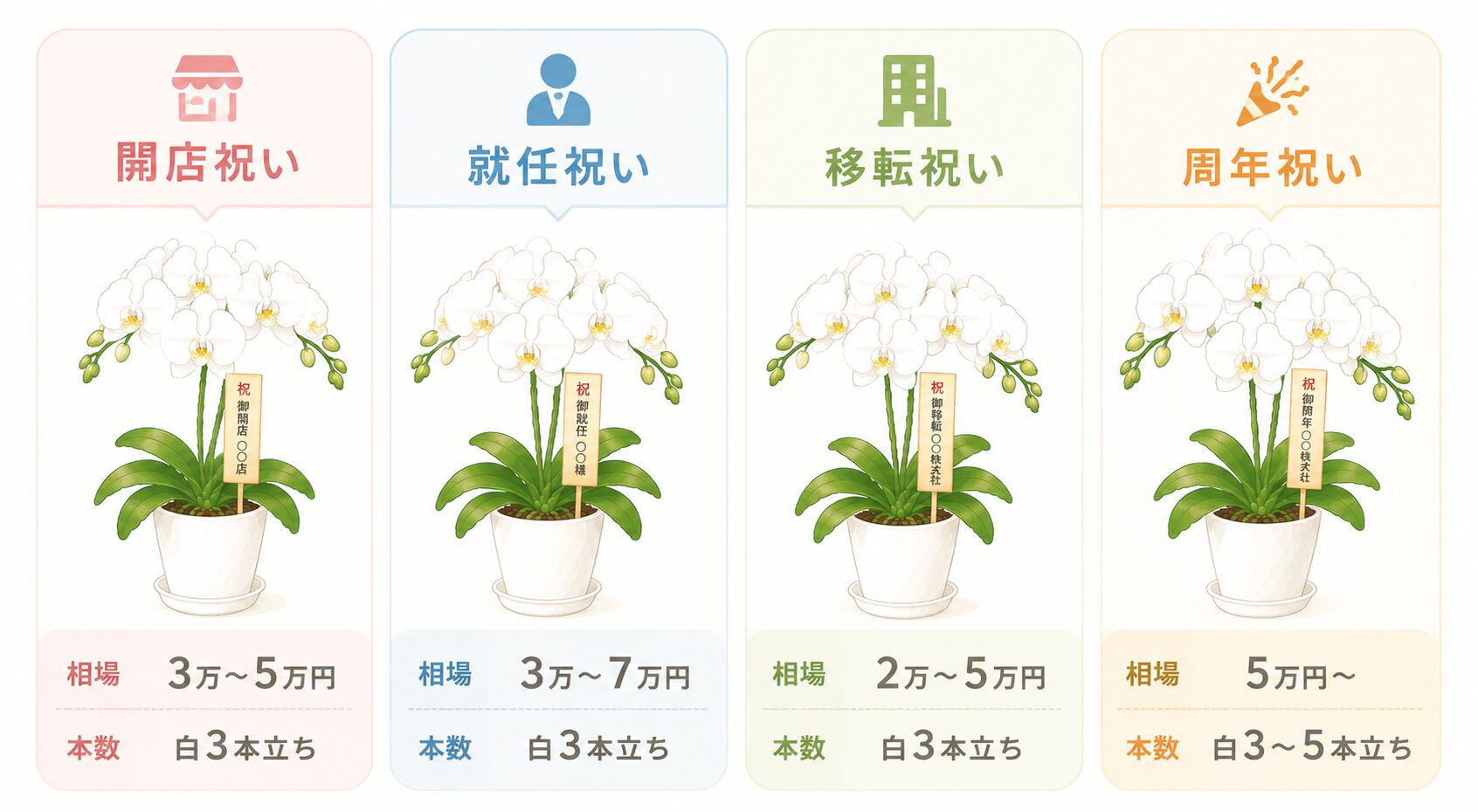 法人用途別の胡蝶蘭相場と本数比較図解