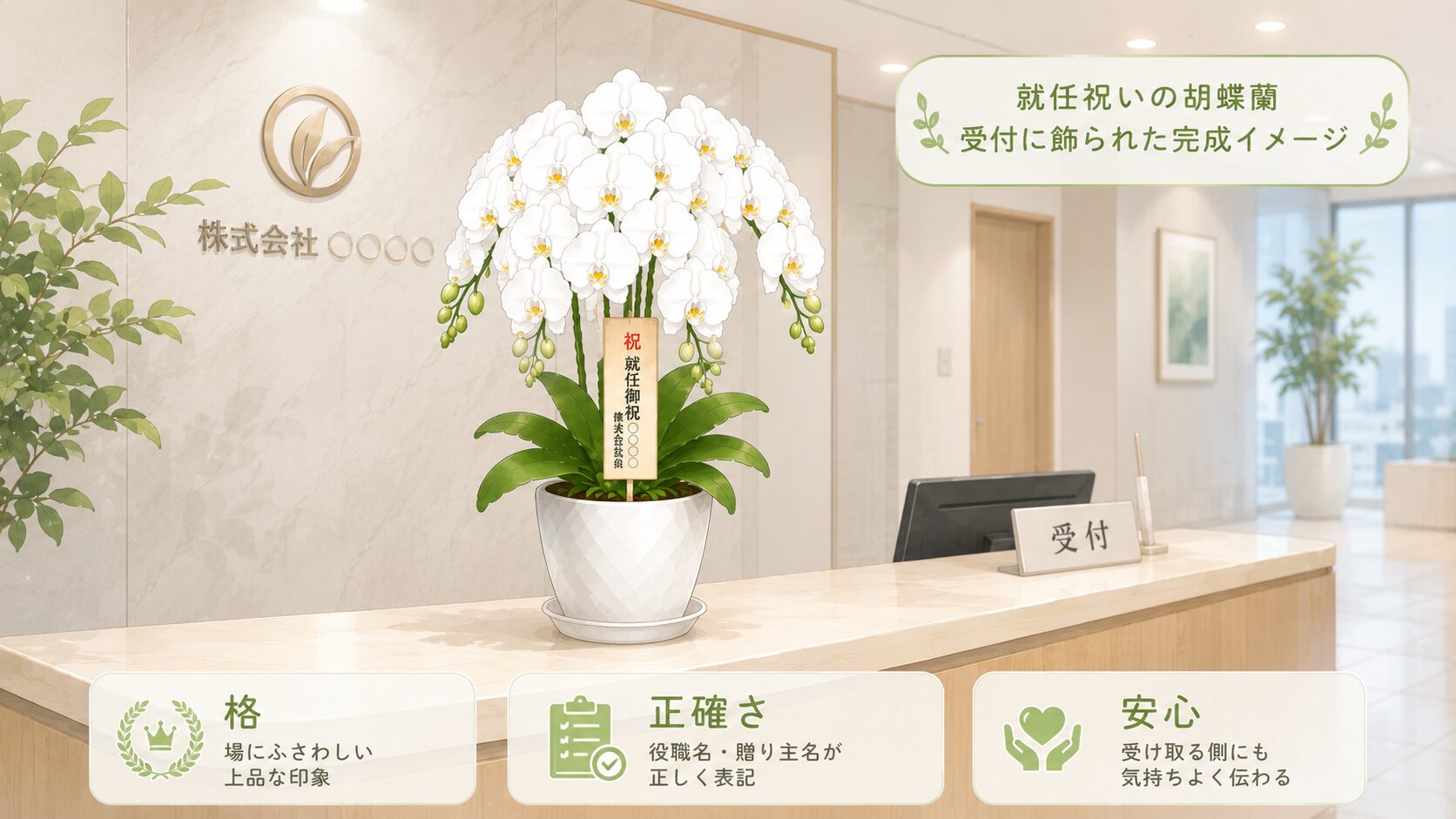 就任祝いの白大輪胡蝶蘭が法人受付に自然に飾られているイラスト