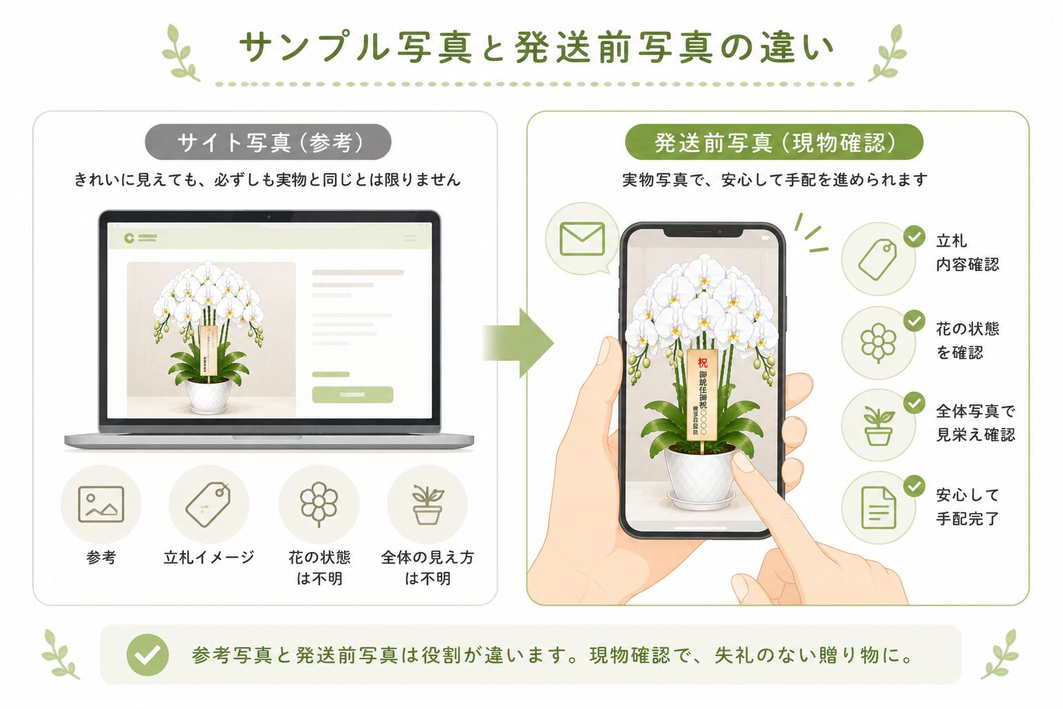 胡蝶蘭のサンプル写真と発送前写真の違いを比較する図解