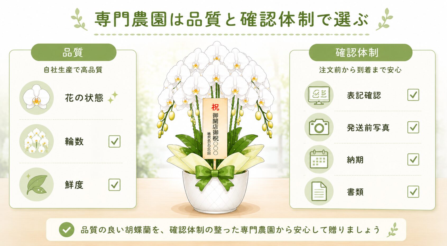 法人胡蝶蘭の専門農園を品質と確認体制で選ぶ図解