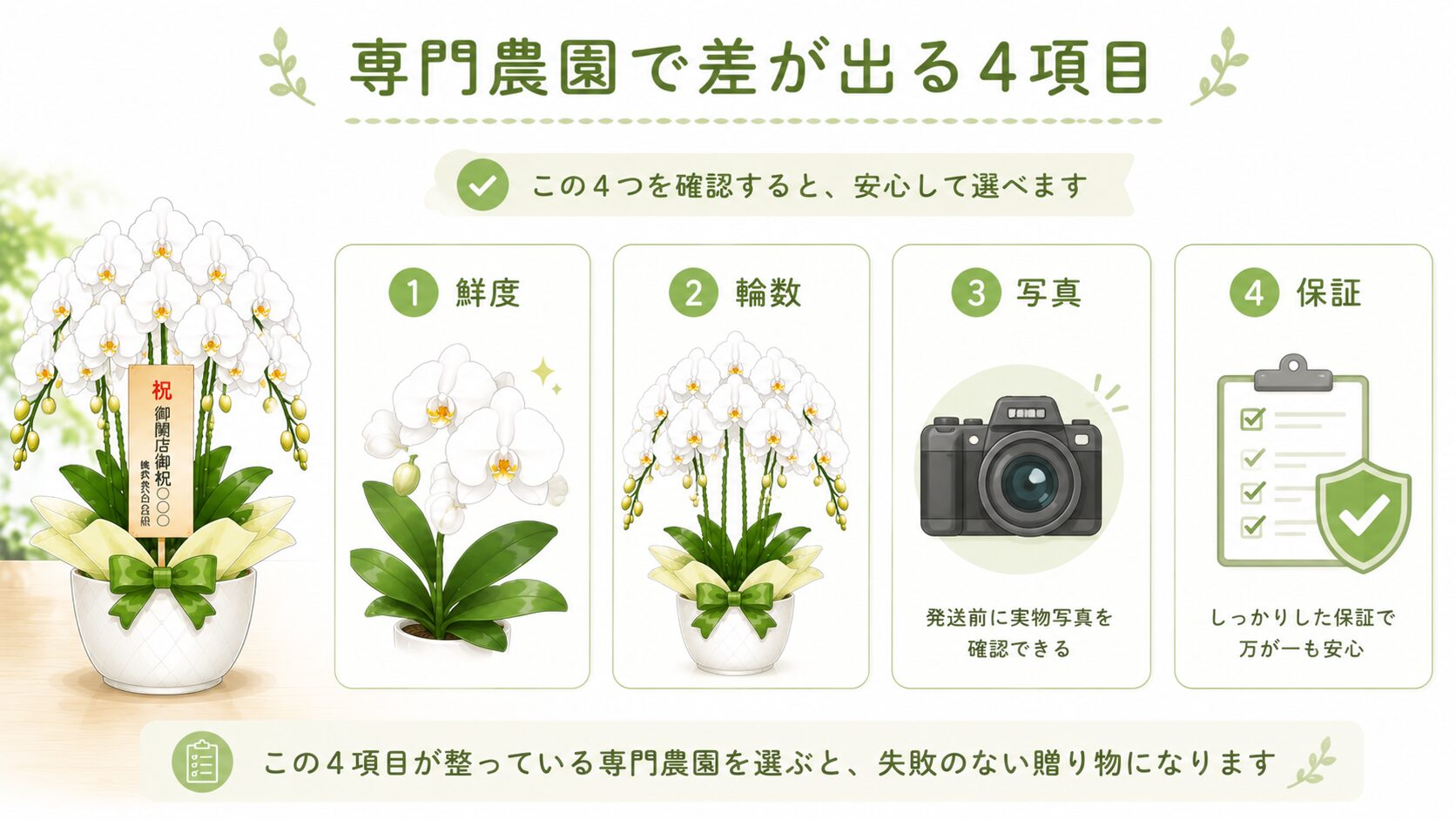 法人胡蝶蘭の専門農園で鮮度・輪数・写真・保証を見る図解