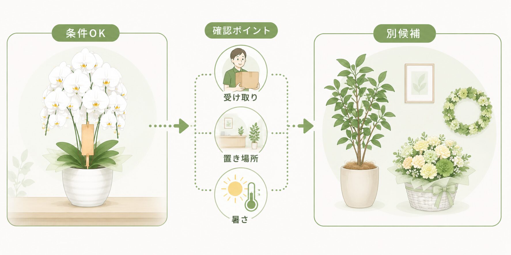 夏の法人贈答で胡蝶蘭以外の観葉植物や花ギフトも検討する図解