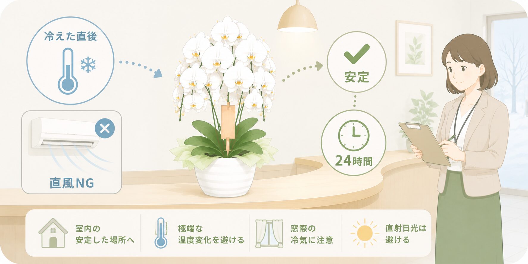 冬に届いた胡蝶蘭を到着後24時間安定した室内環境で管理する図解