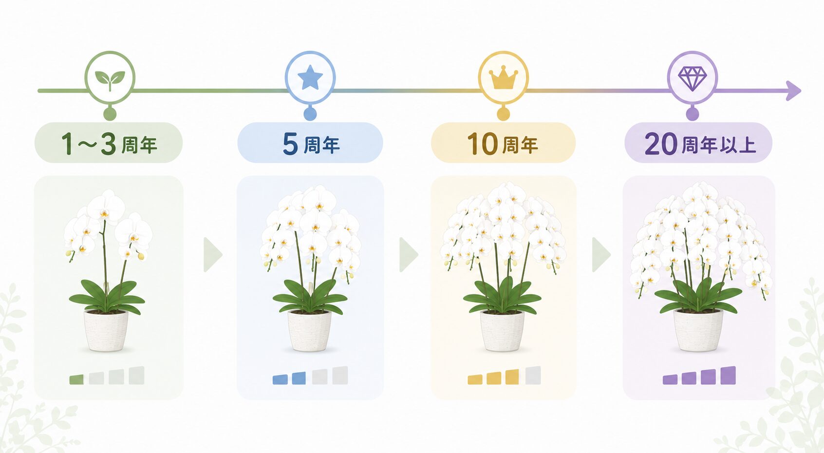 周年数ごとに胡蝶蘭の格を上げる目安を示す図解