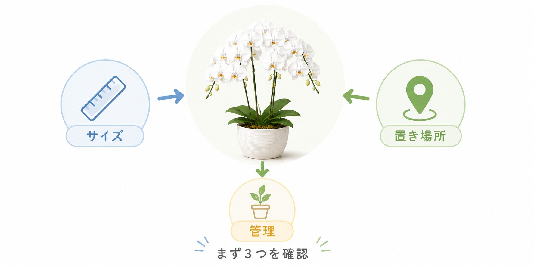 役員室・応接室で確認するサイズ・置き場所・管理の図解