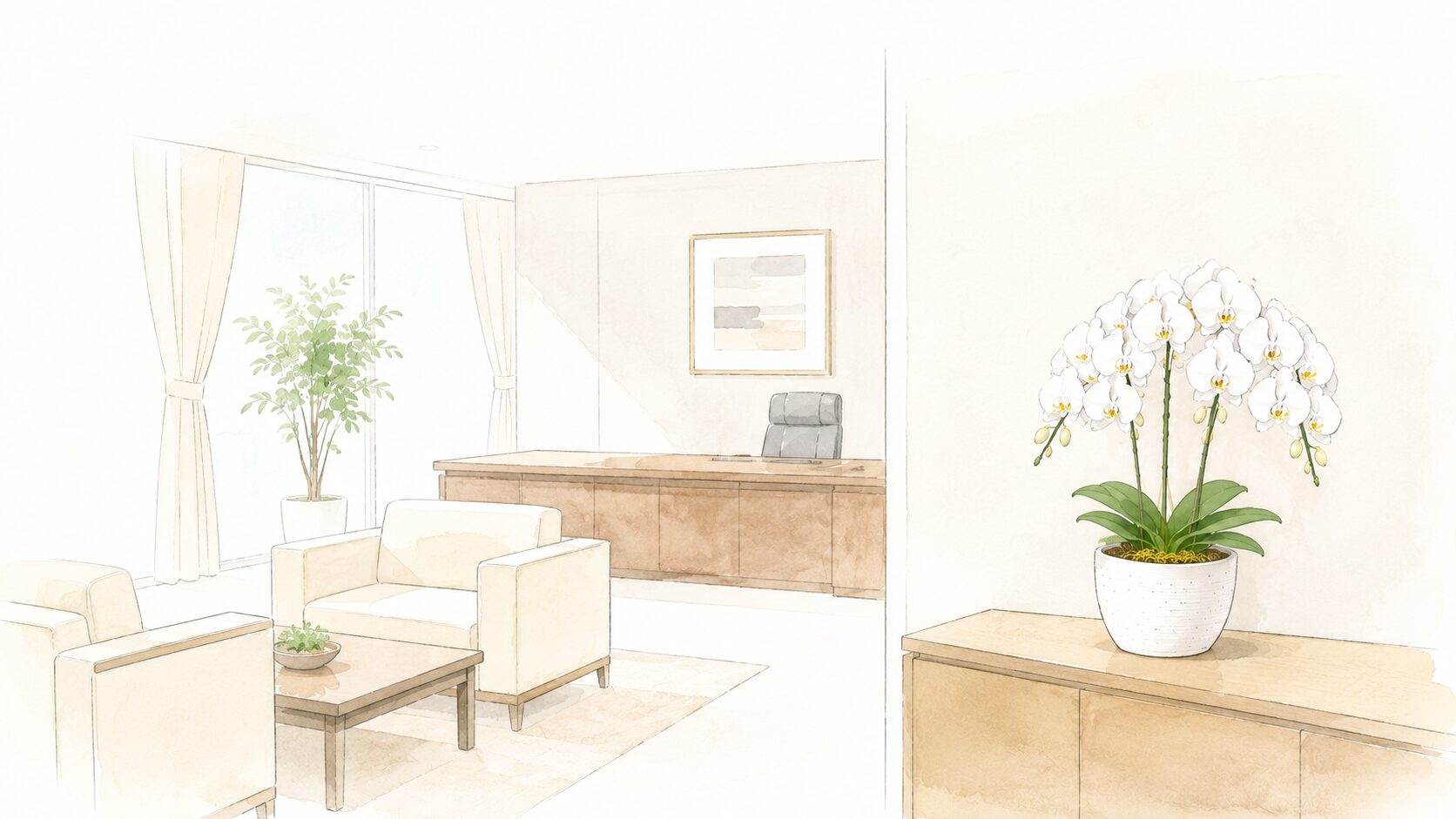 役員室に自然に飾られた白い胡蝶蘭のイラスト