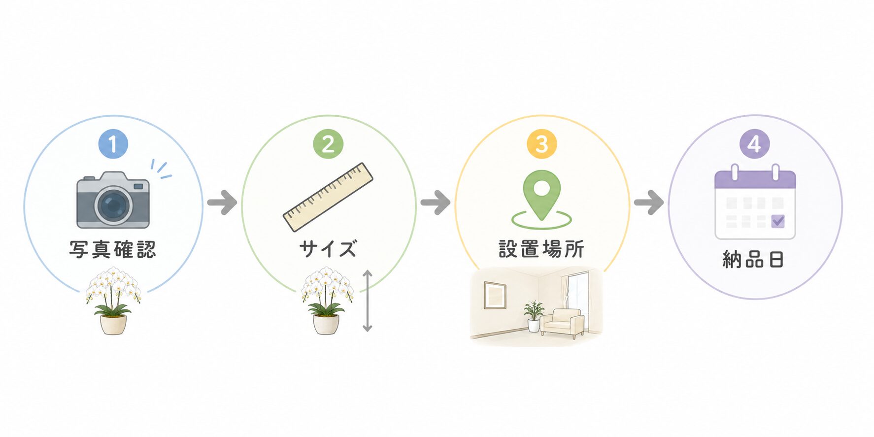 役員室・応接室向け胡蝶蘭の発注前チェック項目