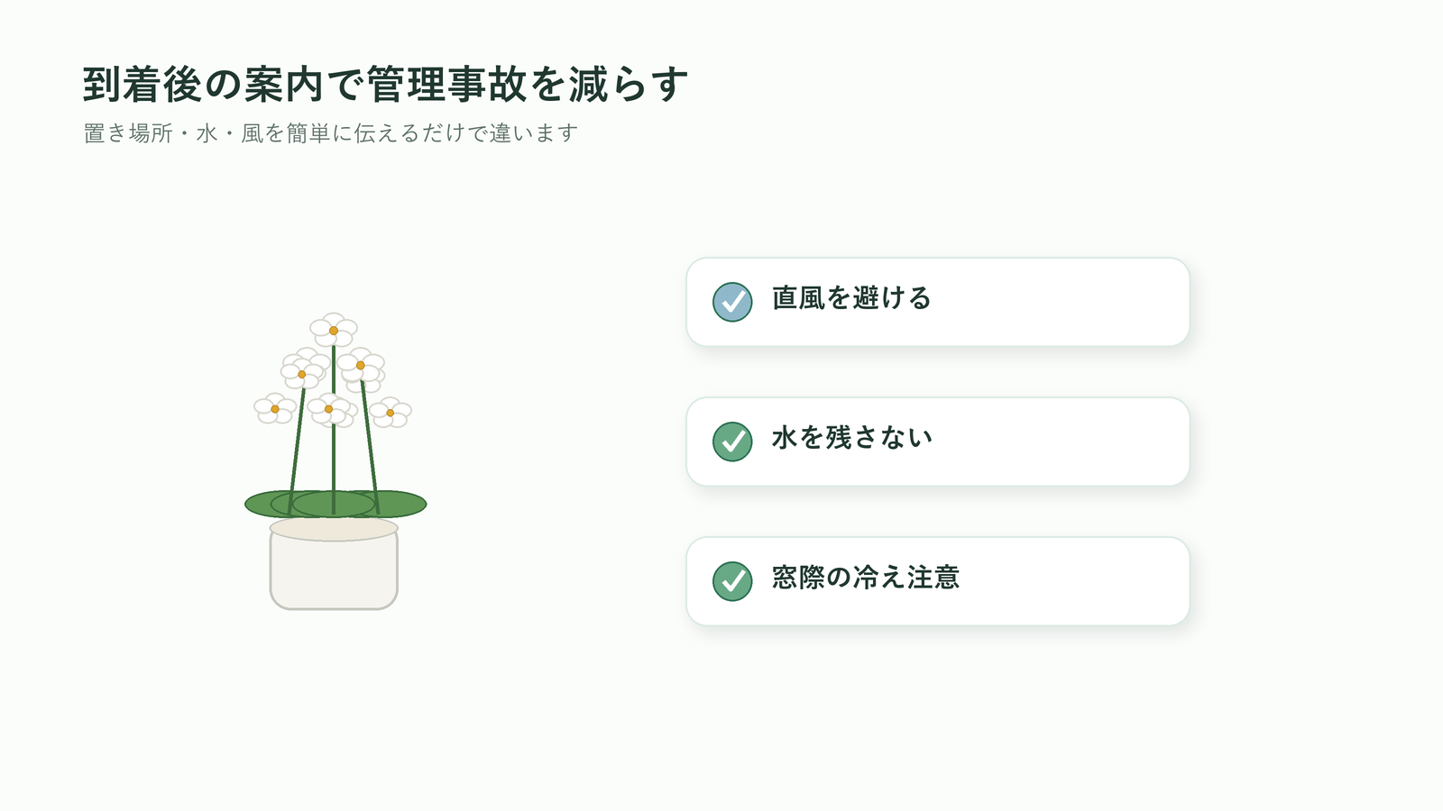 胡蝶蘭の到着後に置き場所や水やりで事故を防ぐ案内図