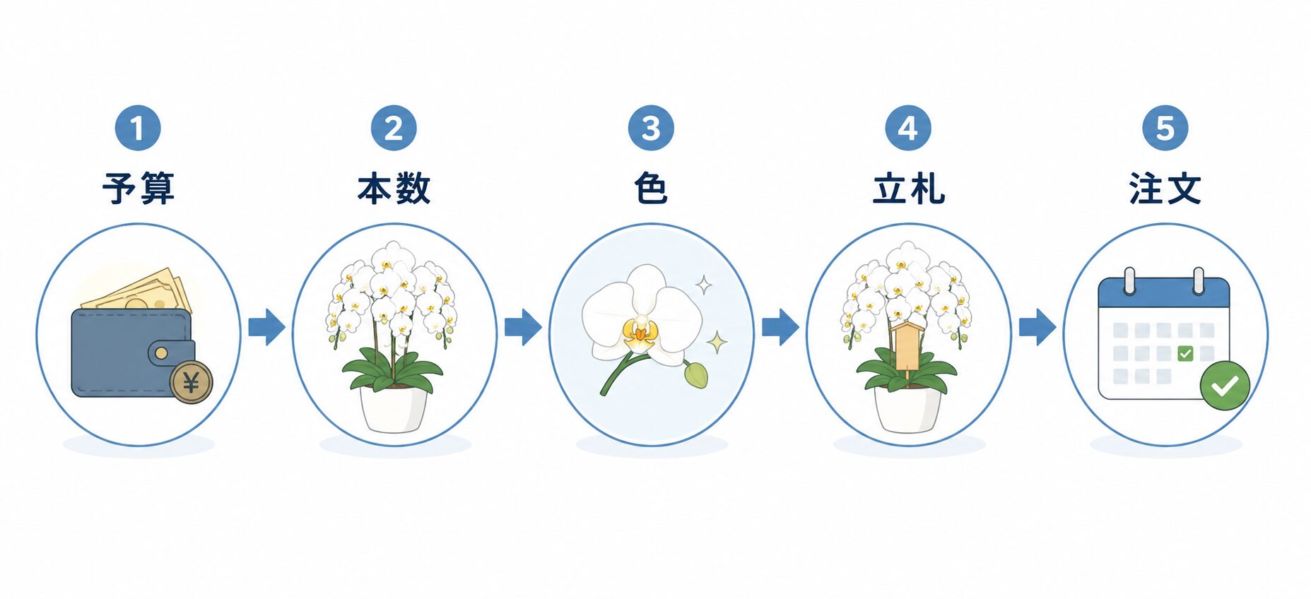 法人胡蝶蘭を選ぶ基本の流れを示す図解