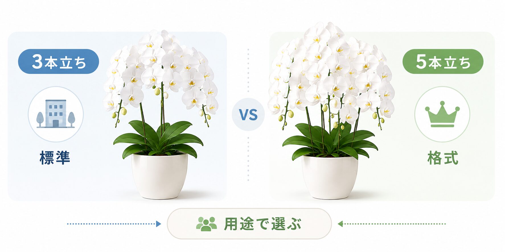 予算と本数の選び方を比較した図解