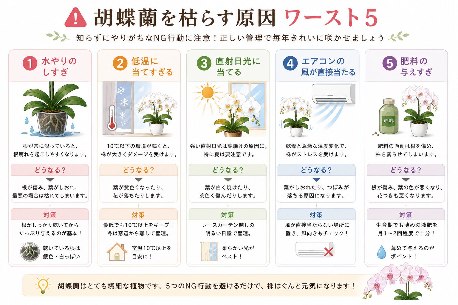胡蝶蘭を弱らせる原因一覧図