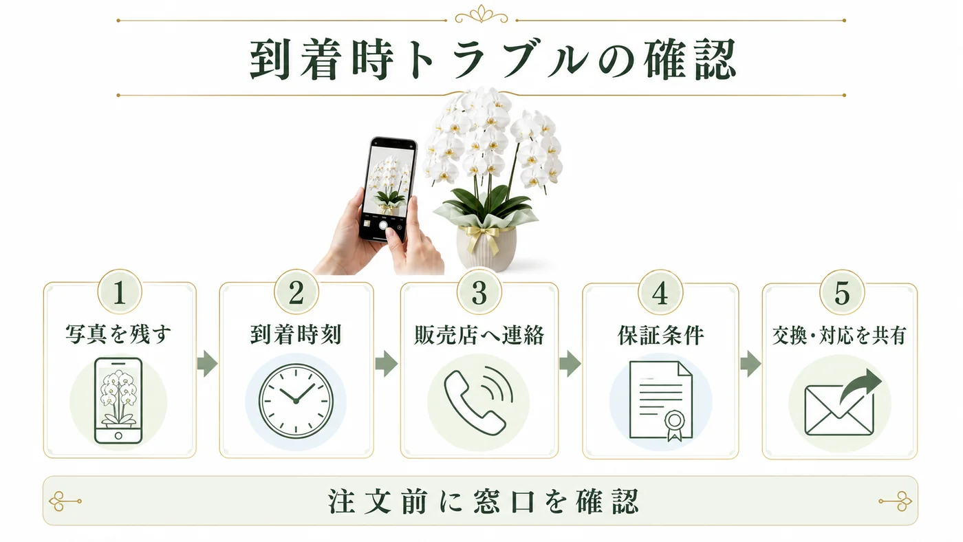 胡蝶蘭の到着時トラブルで写真・到着時刻・販売店連絡・保証条件・交換対応を確認する図解