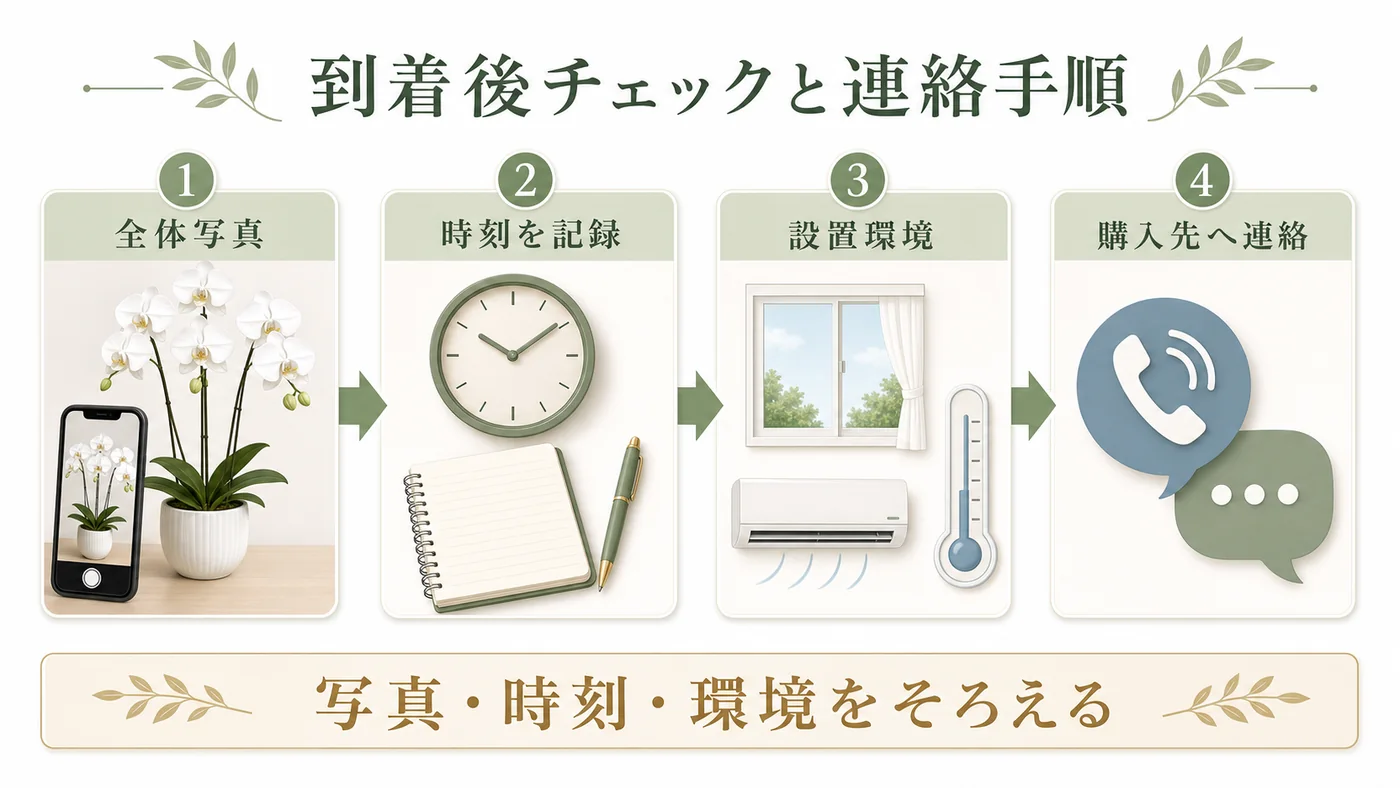胡蝶蘭の全体写真・到着時刻・設置環境を記録して購入先へ連絡する手順図