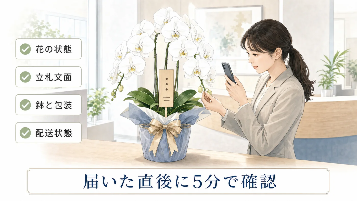 法人胡蝶蘭が届いた直後に花の状態・立札文面・鉢と包装・配送状態を確認する担当者のイラスト