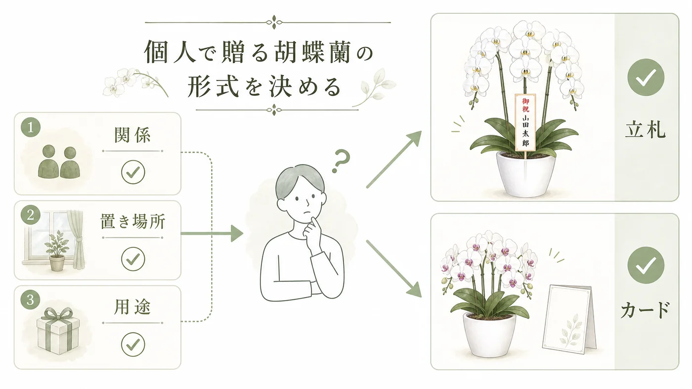 相手との関係・置き場所・用途から個人名義の胡蝶蘭の相場と立札を決める図解