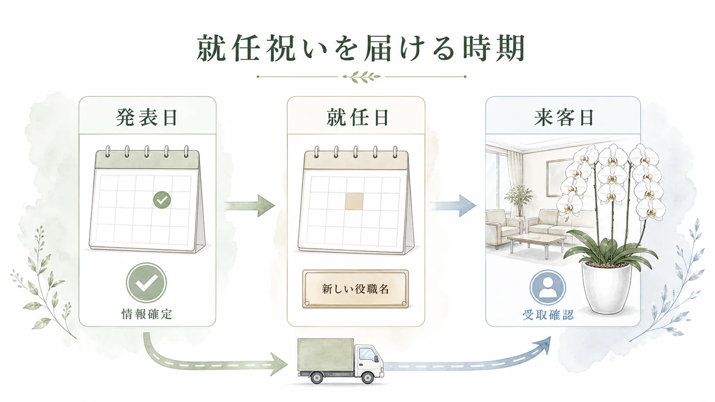 発表日・就任日・来客日を確認して胡蝶蘭の到着日を決める時系列図