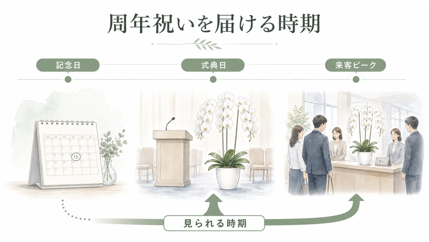 記念日・式典日・来客日を比較して胡蝶蘭が最も見られる納品日を選ぶ図解