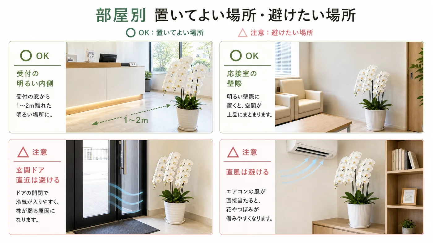 受付や応接室で胡蝶蘭を置いてよい場所と玄関ドア直近・エアコン直風を避ける例の比較図