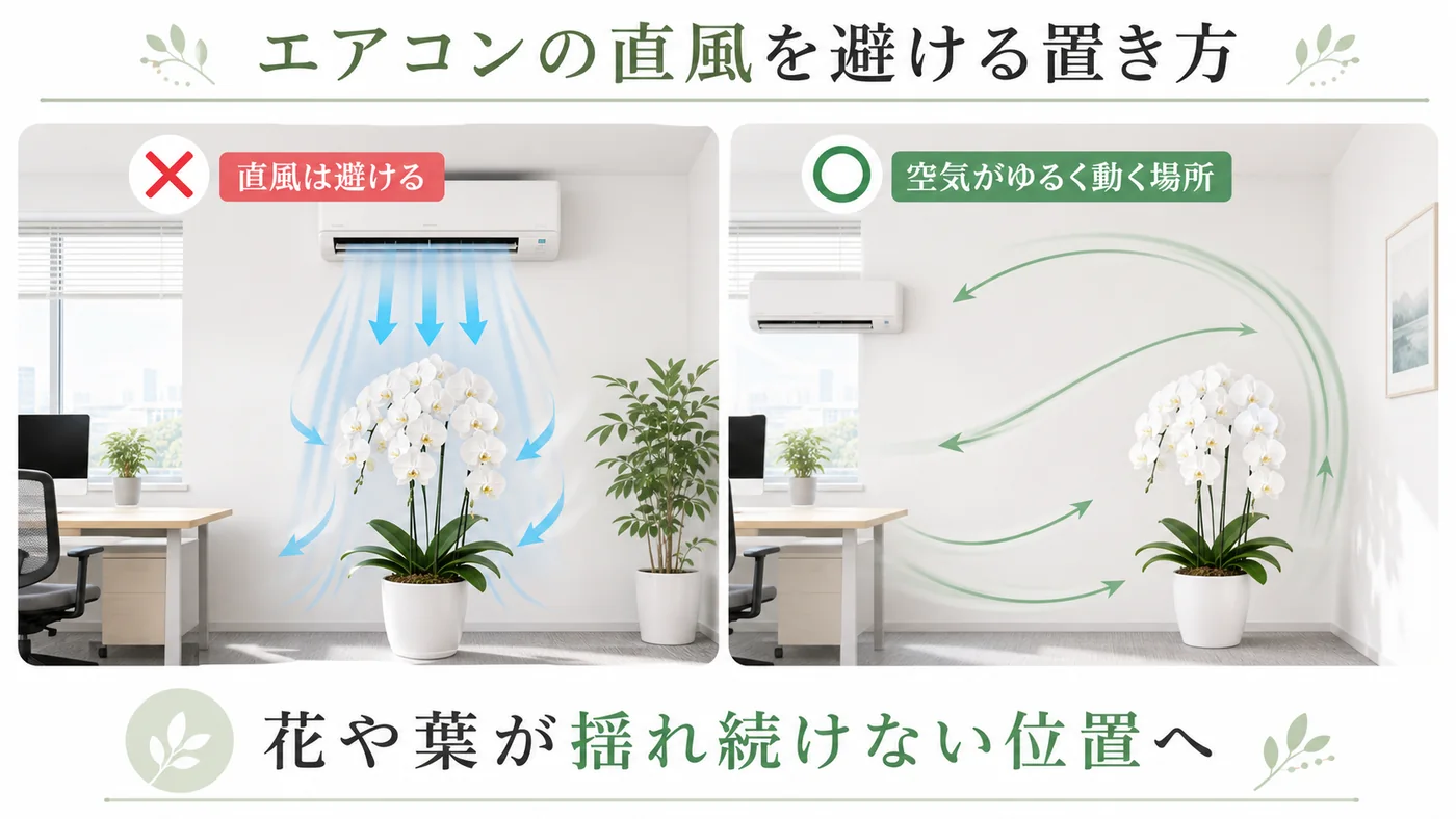 エアコンの風が胡蝶蘭へ直撃する場所と空気が緩やかに動く安全な場所を比較した図解