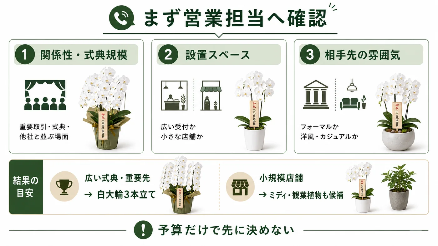 関係性・式典規模・設置スペース・相手先の雰囲気から法人胡蝶蘭を選ぶ判断図