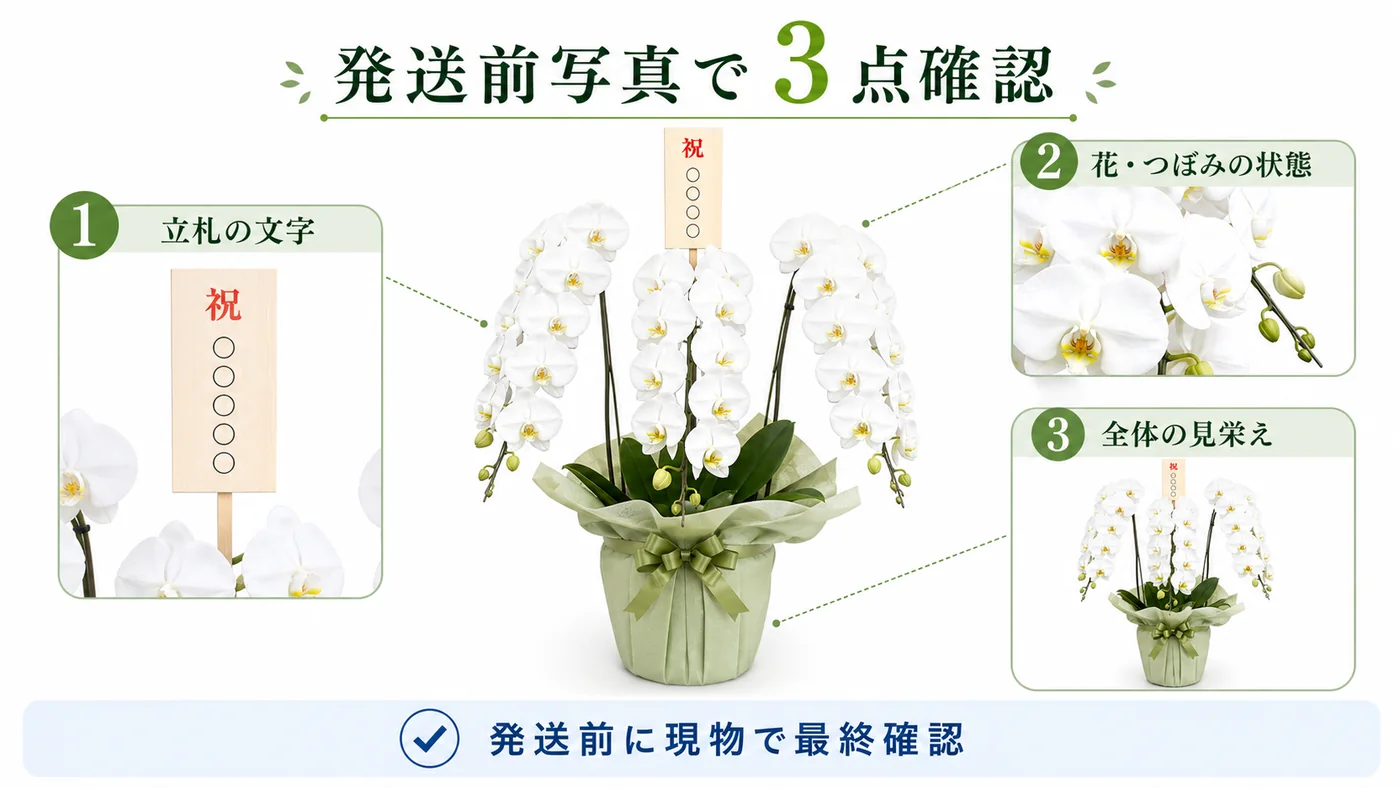 胡蝶蘭の発送前写真で立札の文字・花とつぼみの状態・全体の見栄えを確認する図解