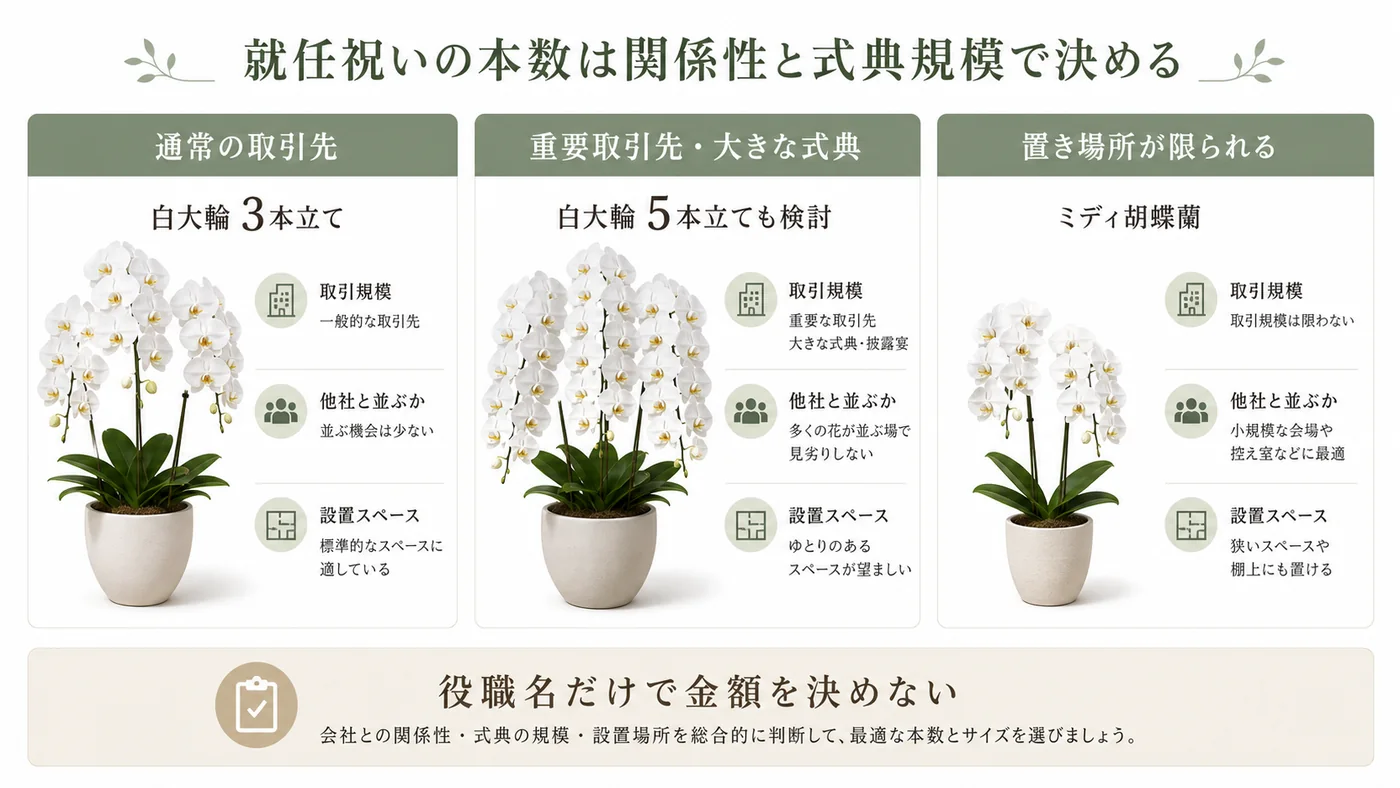 通常取引先・重要取引先・置き場所が限られる場合の就任祝い胡蝶蘭の本数とサイズ比較図