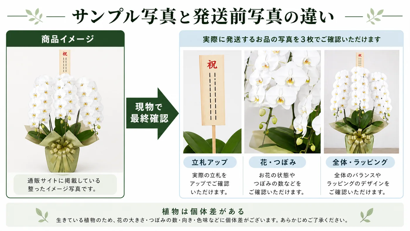 通販の商品イメージと実際に発送する胡蝶蘭の立札・花・全体写真を比較する図解