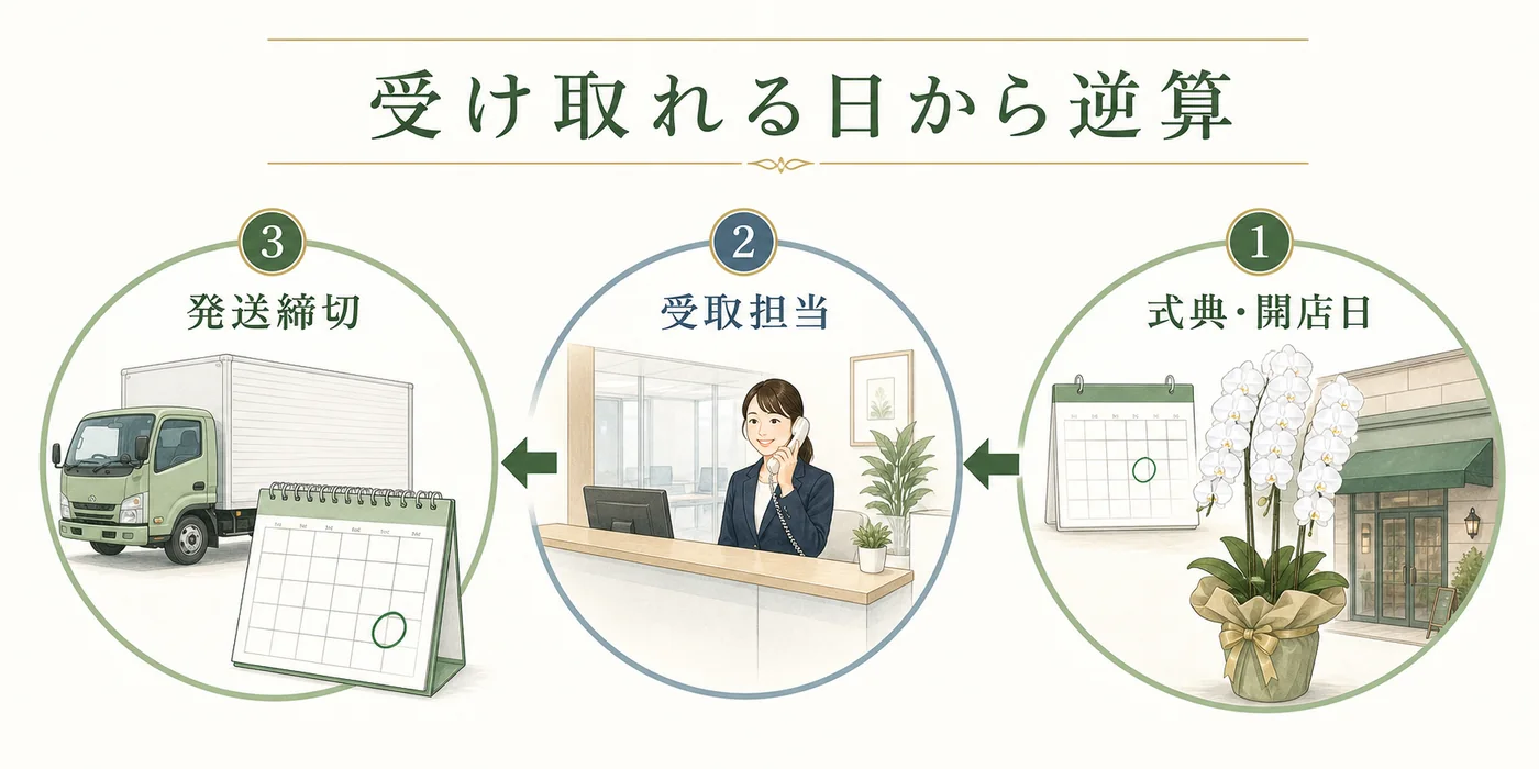 式典・開店日から受取担当と発送締切を逆算して胡蝶蘭の到着日を決める図解