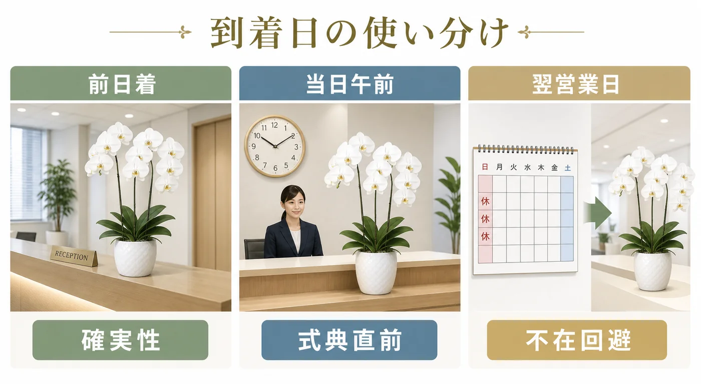 法人胡蝶蘭の前日着・当日午前・翌営業日の使い分けを比較する図解
