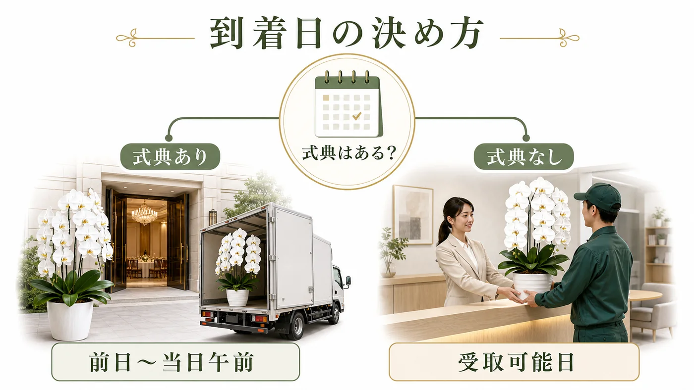 式典の有無と受取可能日から周年祝いの胡蝶蘭の到着日を決める図解