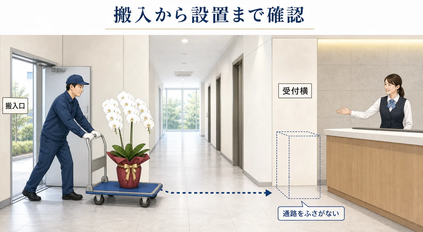 新社屋の搬入口から通路をふさがない受付横まで胡蝶蘭を運ぶ図解