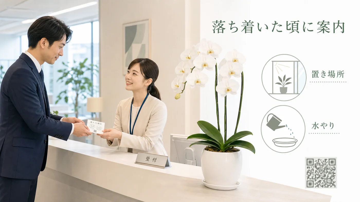 移転後の受付担当者へ胡蝶蘭の置き場所と水やりの管理案内を渡すイラスト