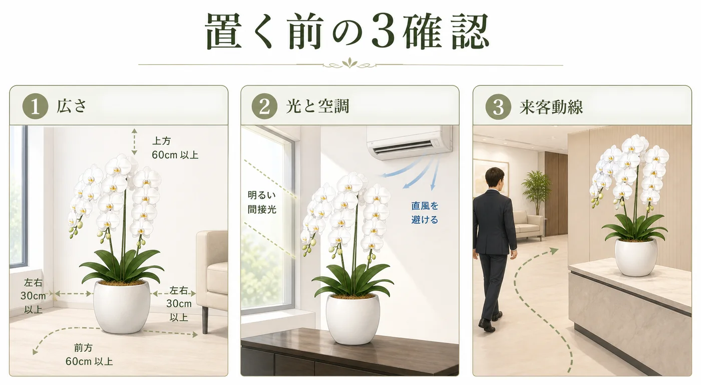 役員室や応接室で胡蝶蘭を置く前に広さ・光と空調・来客動線を確認する図解
